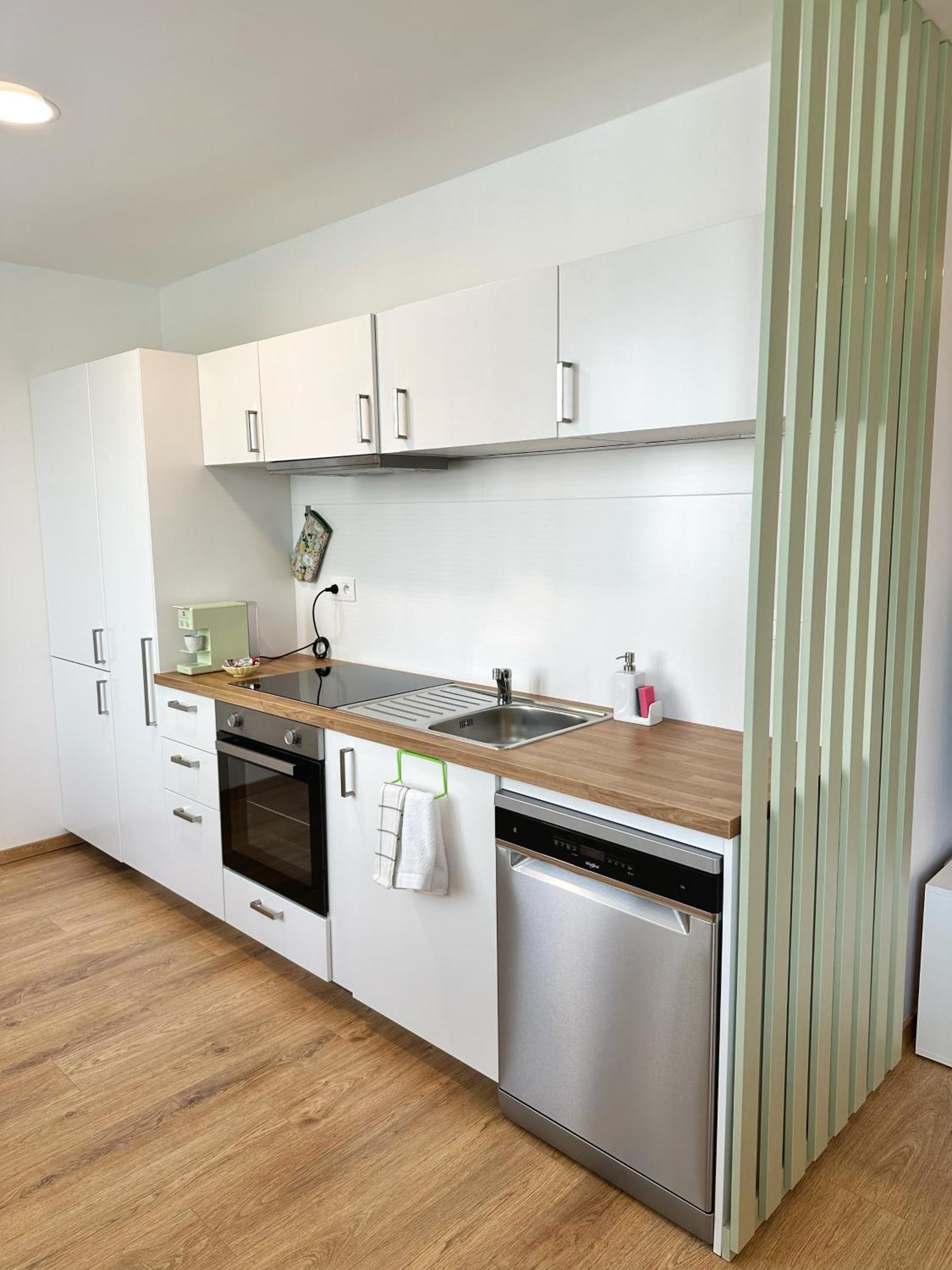 City Apartment I Trenčín Dış mekan fotoğraf